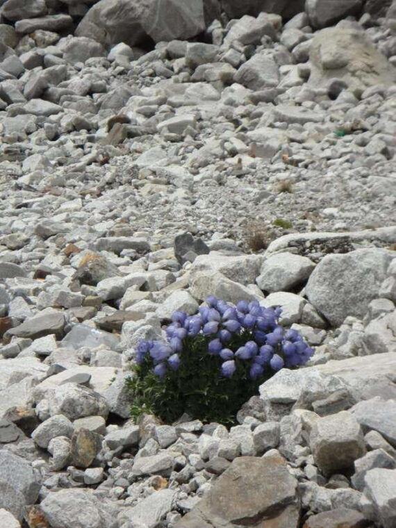 from-pokhara-11-day-budget-everest-base-camp-trek