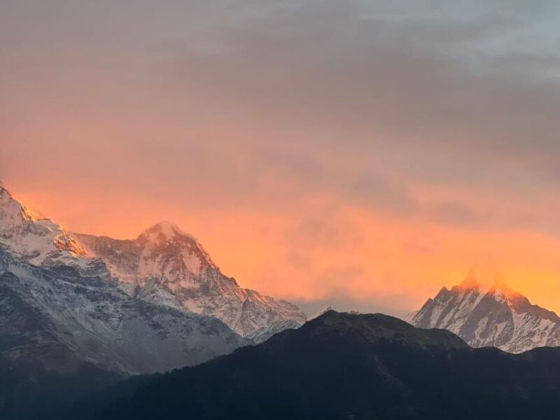 from-pokhara-2-day-1-night-ullerighorepani-poon-hill-trek