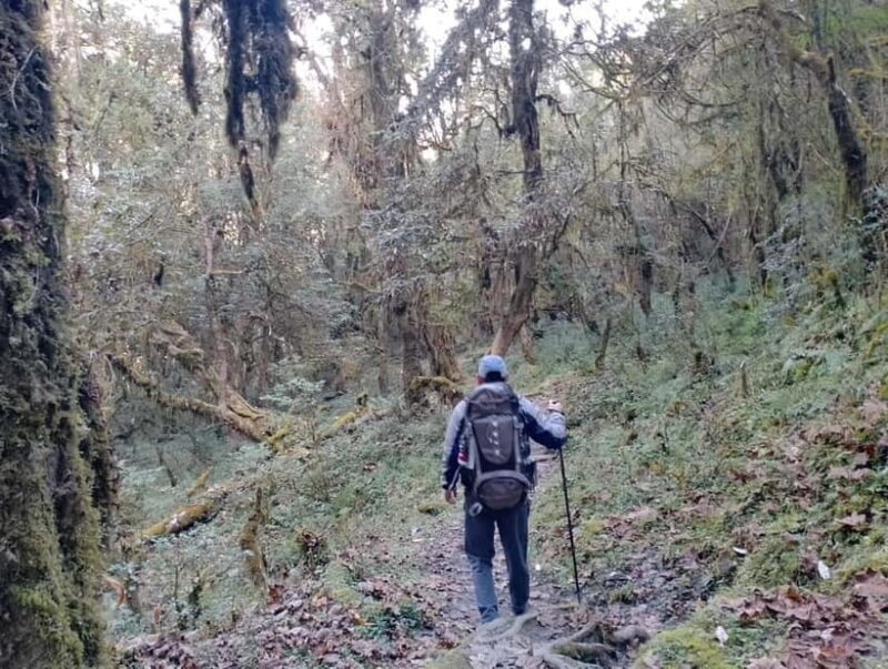 From Pokhara: 2-day Panchase Hill Hiking Tour & Return Drive - The Views & Photo Opportunities