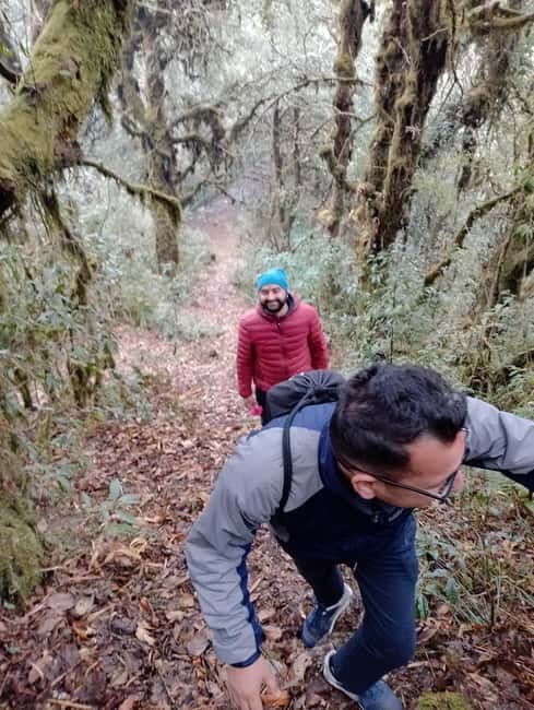 From Pokhara: 2-day Panchase Hill Hiking Tour & Return Drive - Who Should Consider This Tour?