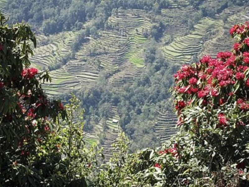 from-pokhara-2-day-scenic-australian-camp-trek
