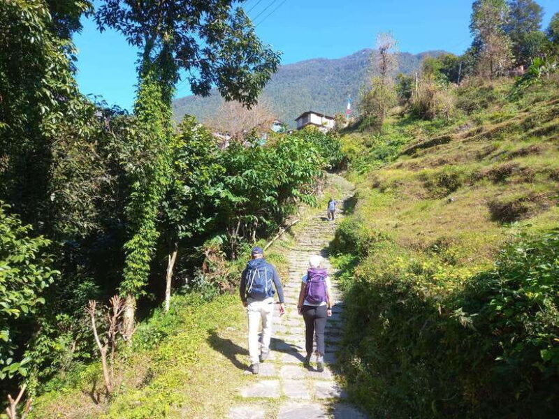 from-pokhara-2-days-poonhill-trek-with-sunrise-view