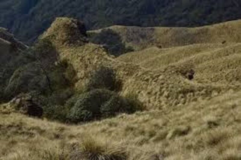 from-pokhara-2-night-3-day-amazing-khumai-danda-trek