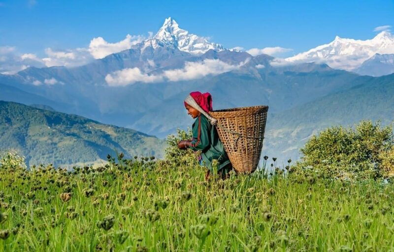 from-pokhara-3-day-ghorepani-poonhill-short-trek