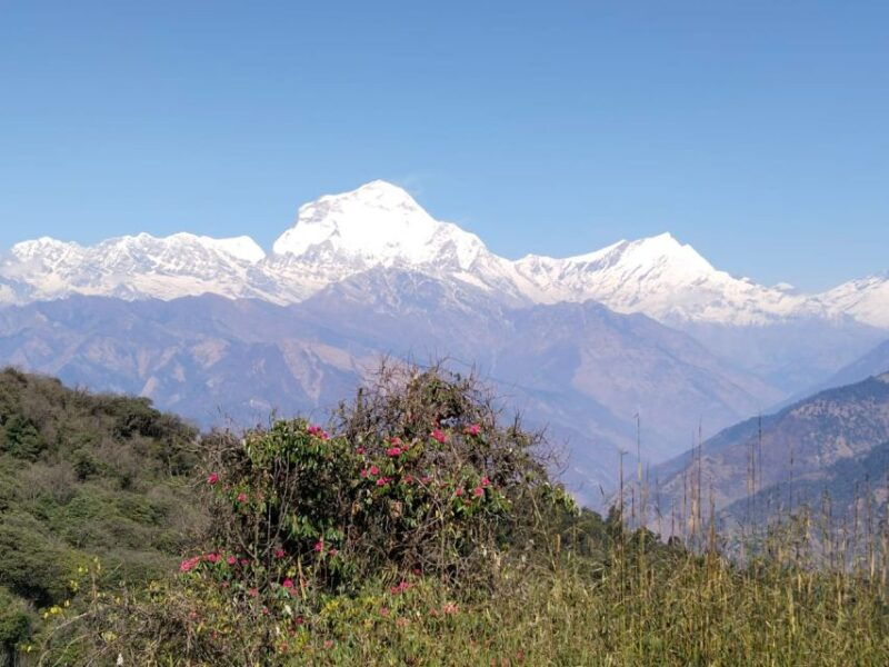 from-pokhara-4-day-annapurna-and-poon-hill-himalayan-trek