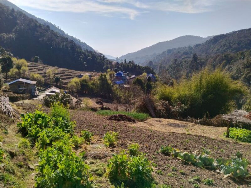 from-pokhara-4-day-annapurna-and-poon-hill-himalayan-trek