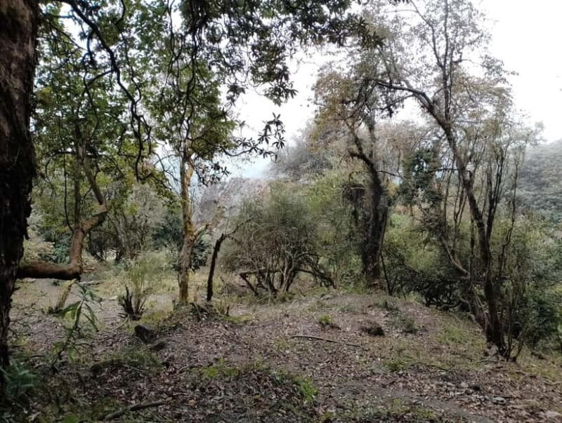 From Pokhara: 4-Day Annapurna Sunrise Trek and Chitwan Tour - The Sum Up