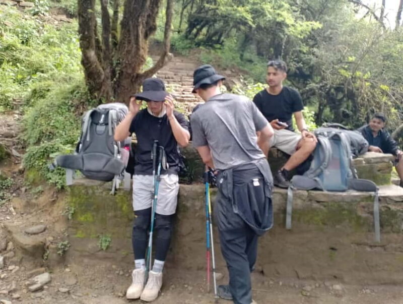 From Pokhara: 4-Day Mardi Himal Base Camp Trek - Key Points