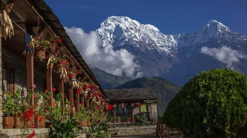 From Pokhara: 4 Day Poon Hill Trek with Guide - What You Can Expect from the Experience