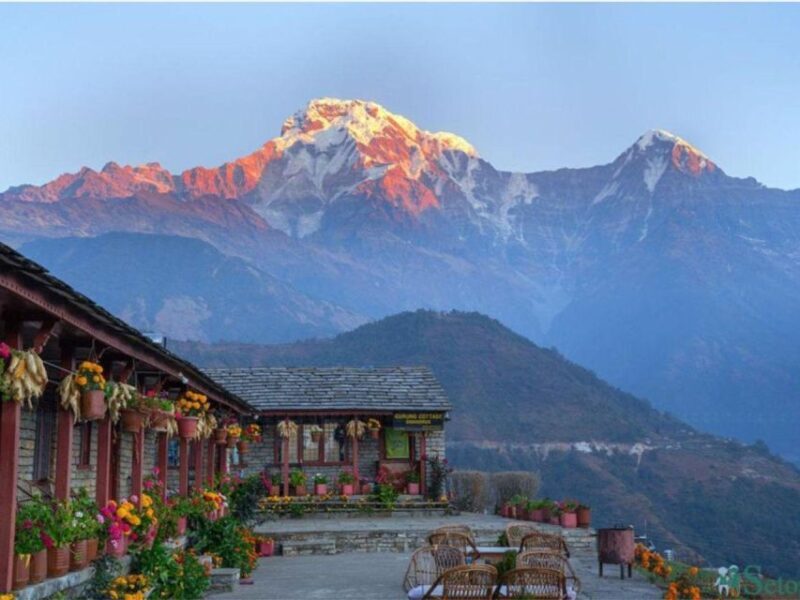 From Pokhara: 5-Day Mardi Himal Base Camp Trek - The Value and Price Analysis