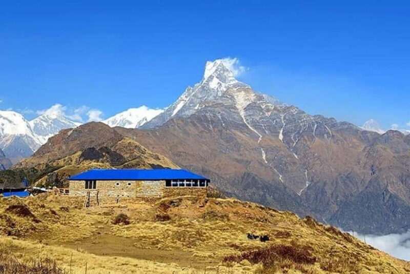 From Pokhara: 5-Day Mardi Himal Base Camp Trek - FAQ