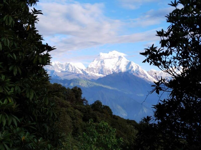 from-pokhara-5-day-poon-hill-with-natural-hot-spring-trek