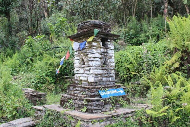 from-pokhara-7-day-annapurna-base-camp-trek