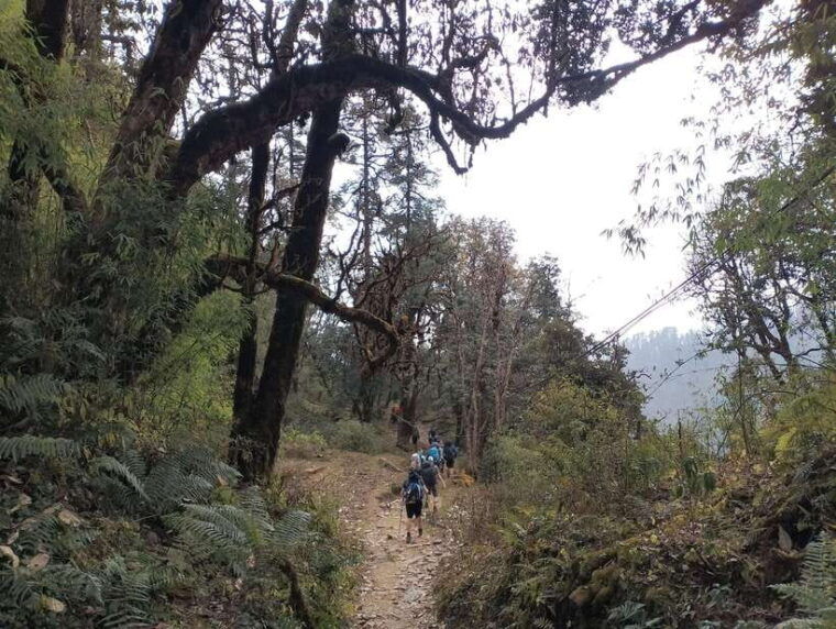 from-pokhara-a-7-day-trek-to-the-heart-of-the-himalayas