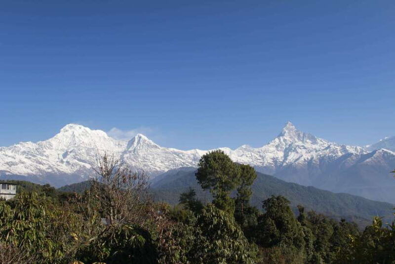 from-pokhara-australian-camp-and-dhampus-guided-day-hike