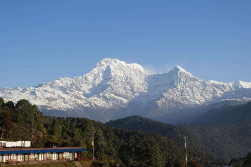 from-pokhara-australian-camp-and-dhampus-guided-day-hike