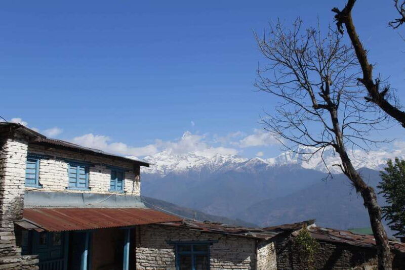 from-pokhara-australian-camp-and-dhampus-guided-day-hike