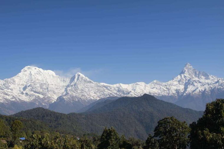 from-pokhara-australian-camp-and-dhampus-guided-day-hike