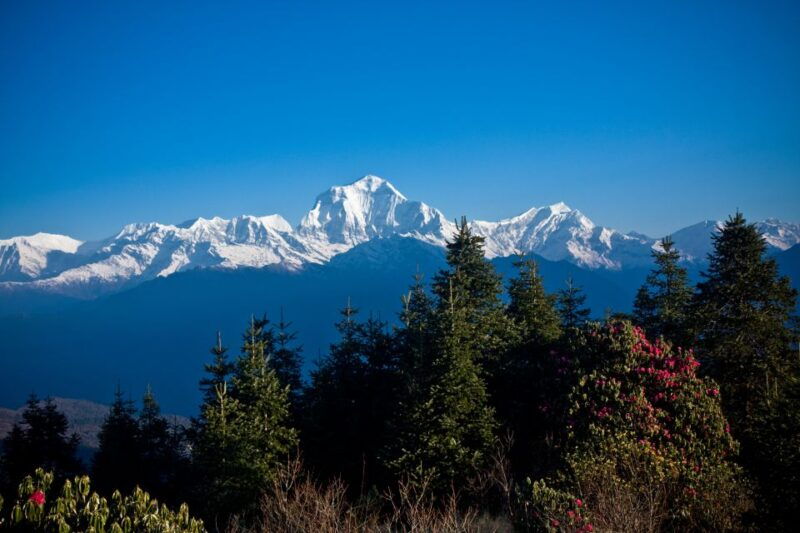 from-pokhara-beautiful-2-day-poon-hill-private-trek