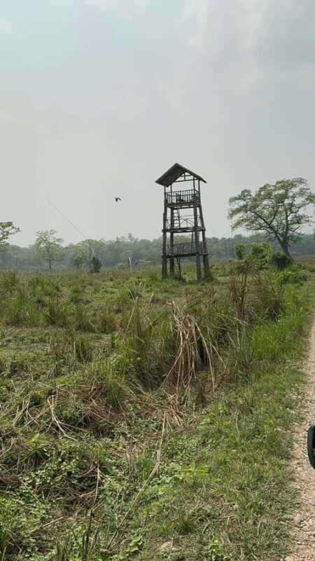 From Pokhara: Chitwan 2N/3D National Park Tour - What Makes This Tour Worth It?