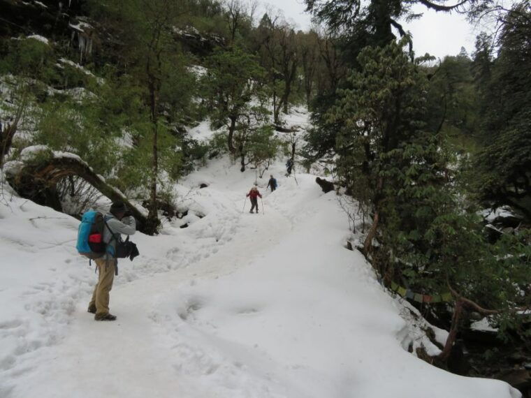 from-pokhara-ghorepani-poon-hill-ghandruk-trek-4-days