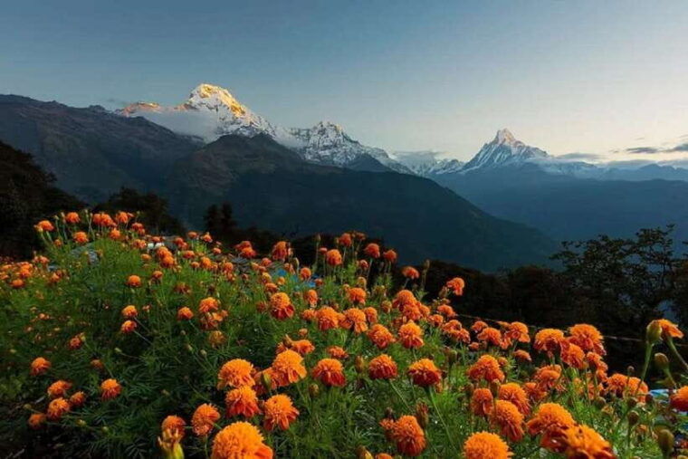 from-pokhara-guided-3-days-mardi-himal-trek