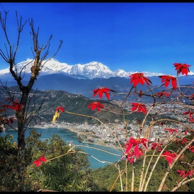 from-pokhara-guided-tour-to-visit-4-himalayas-view-point