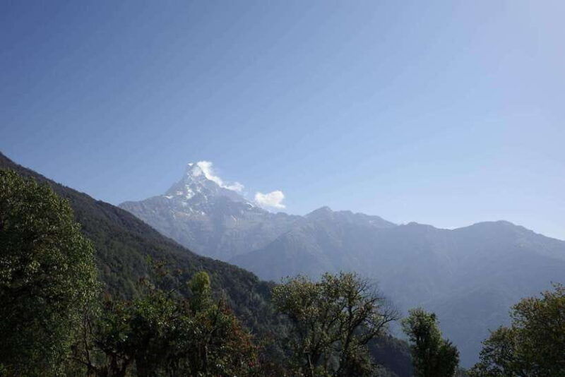 from-pokhara-mardi-himal-trek-with-accommodation-and-guide