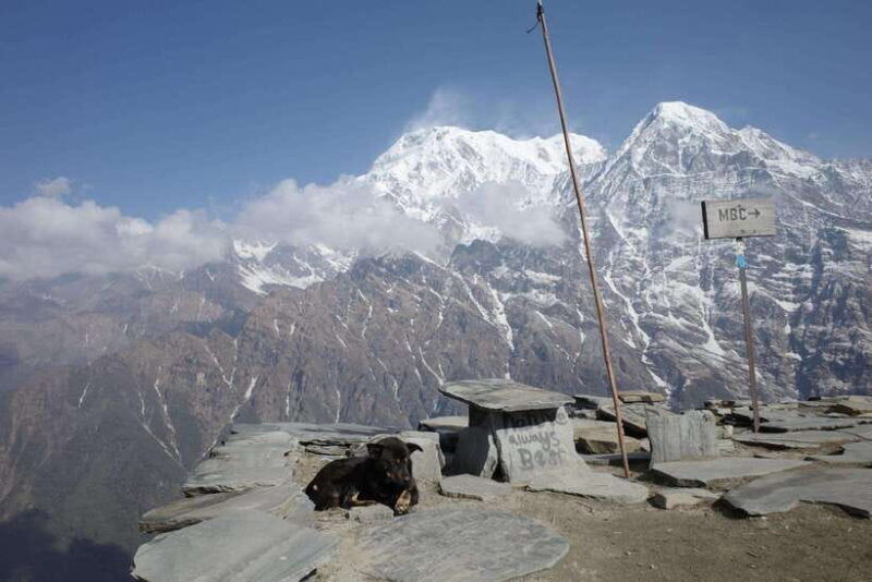 from-pokhara-mardi-himal-trek-with-accommodation-and-guide