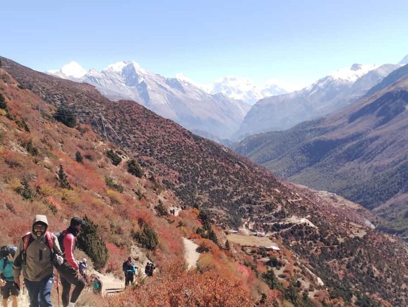 From Pokhara: Poon Hill, Ghandruk & Australian Camp Trek - An Authentic Himalayan Experience in Just Four Days