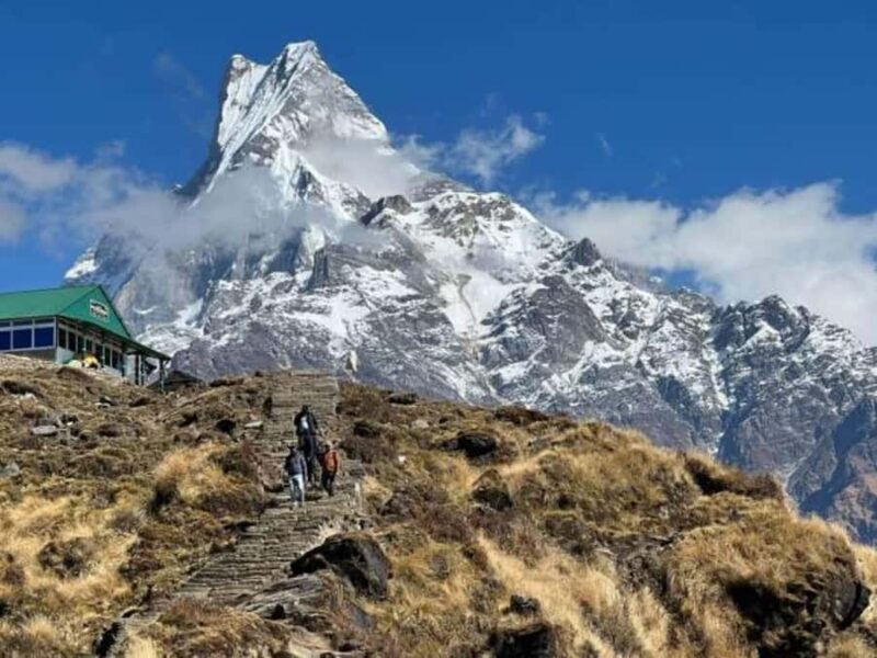 From Pokhara: Private 4-Day Mardi Himal Base Camp Trek - Authentic Reviews and Tips from Past Travelers