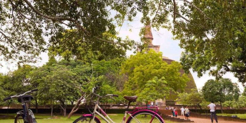 from-polonnaruwa-ancient-city-of-polonnaruwa-by-bike