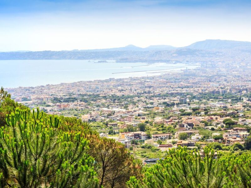 From Pompeii: Bus Transfer to Vesuvius with Park Entry Fee - The Experience from the Perspective of Travelers