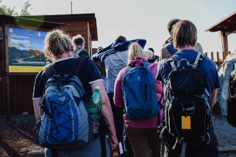 from-pompeii-mount-vesuvius-guided-tour-with-transfer