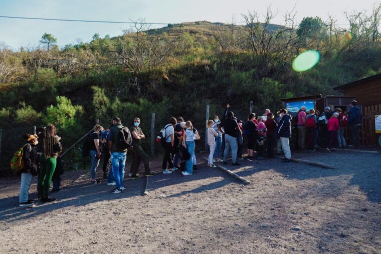 from-pompeii-mount-vesuvius-guided-tour-with-transfer