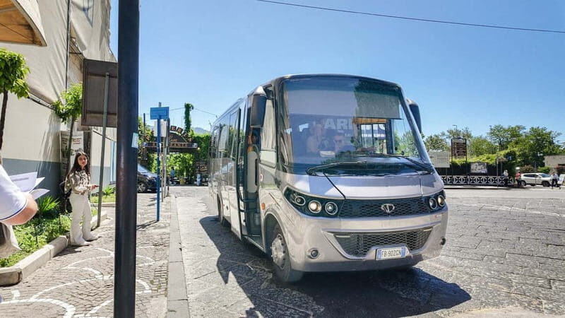 From Pompeii: Mount Vesuvius with bus, ticket and audioguide - What to Expect from the Tour