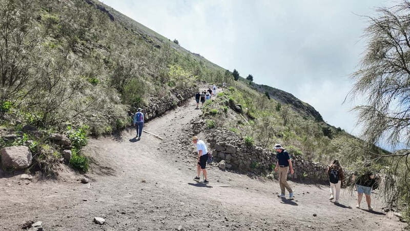 From Pompeii: Mount Vesuvius with bus, ticket and audioguide - The Sum Up
