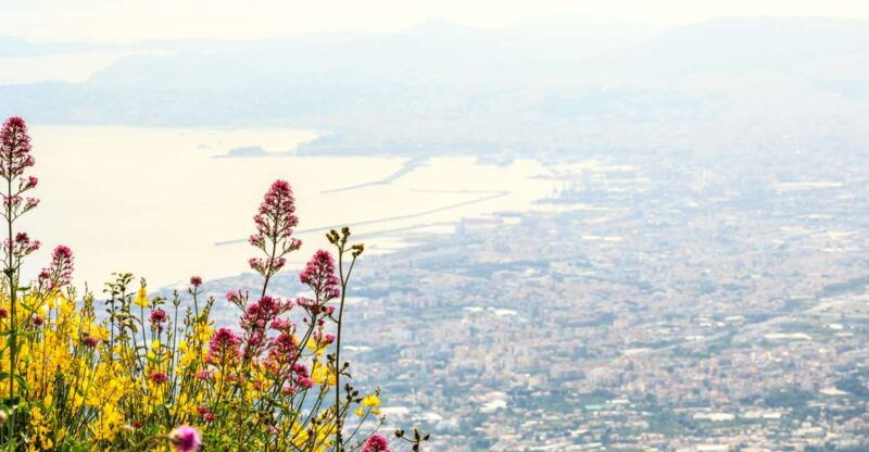 from-pompeii-mt-vesuvius-hike-tour-by-bus