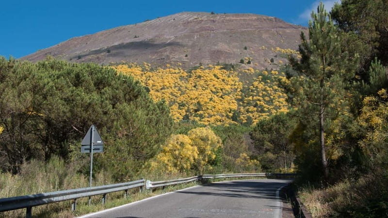 From Pompeii: Vintage Car Tour Beneath Mount Vesuvius - Is This Tour Right for You?