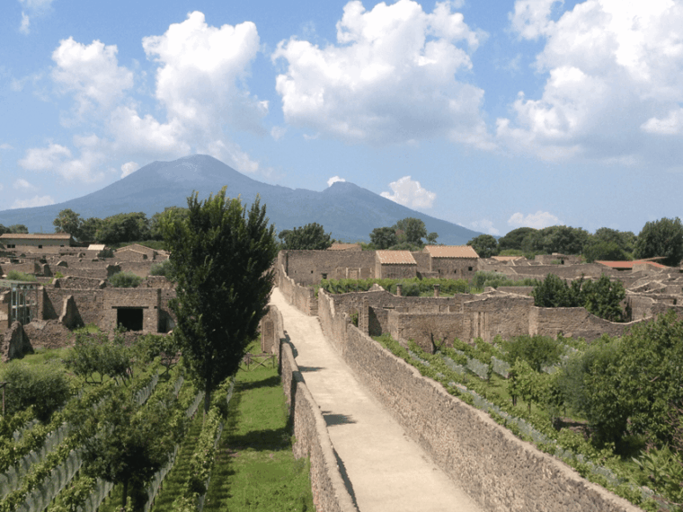 from-pompeii-walking-tour-with-guide-in-the-excavations