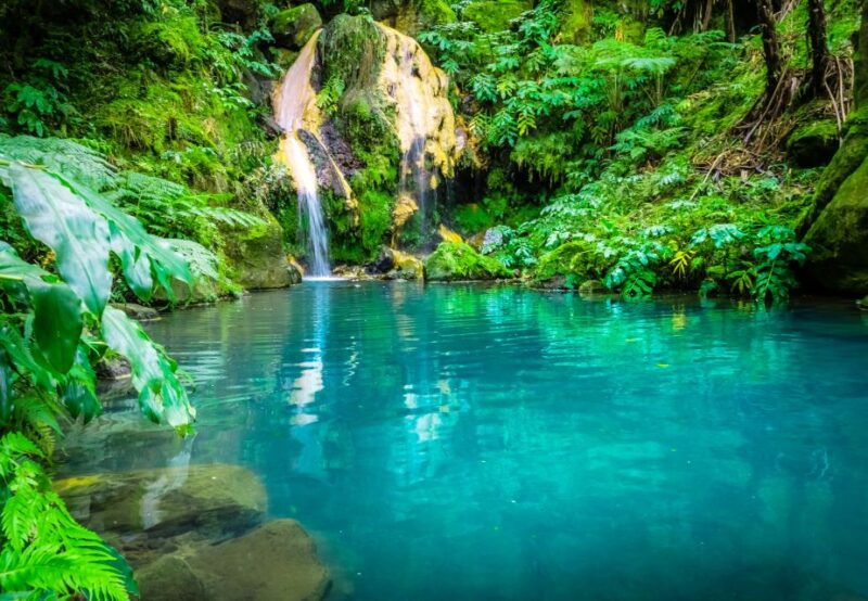 from-ponta-delgada-lagoa-do-fogo-hot-springs-day-trip