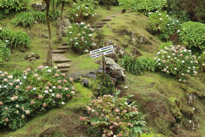 from-ponta-delgada-nordeste-4x4-guided-day-trip-lunch