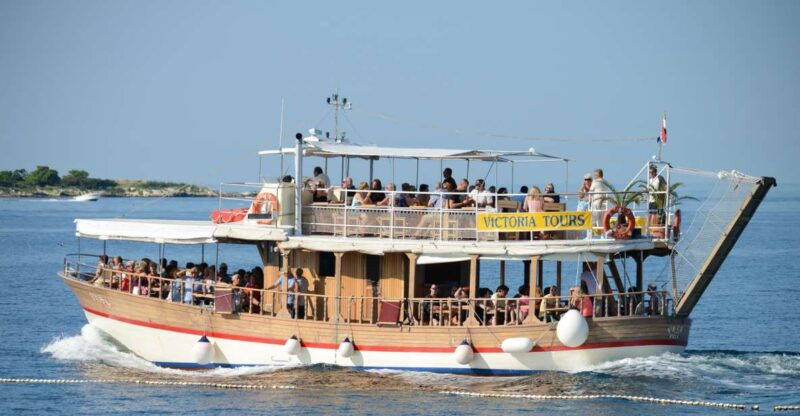 from-porec-evening-dolphin-cruise-with-welcome-drink