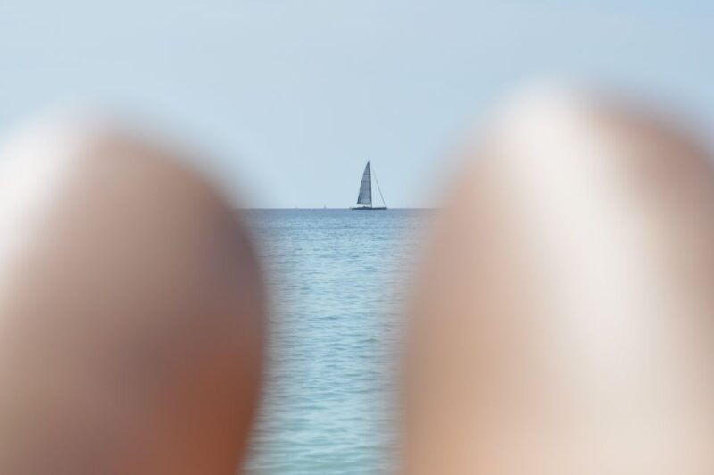 from-port-alcudia-magaluf-shuttle-bus