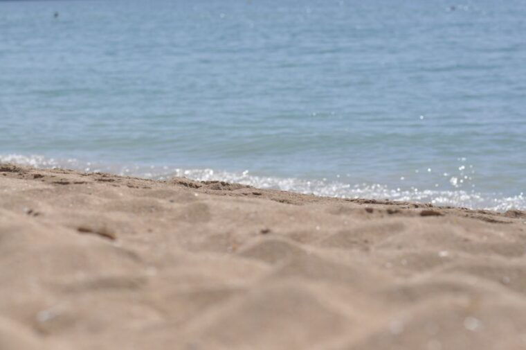 from-port-alcudia-magaluf-shuttle-bus