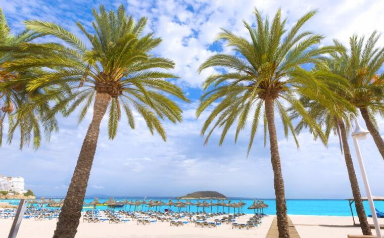 from-port-alcudia-magaluf-shuttle-bus