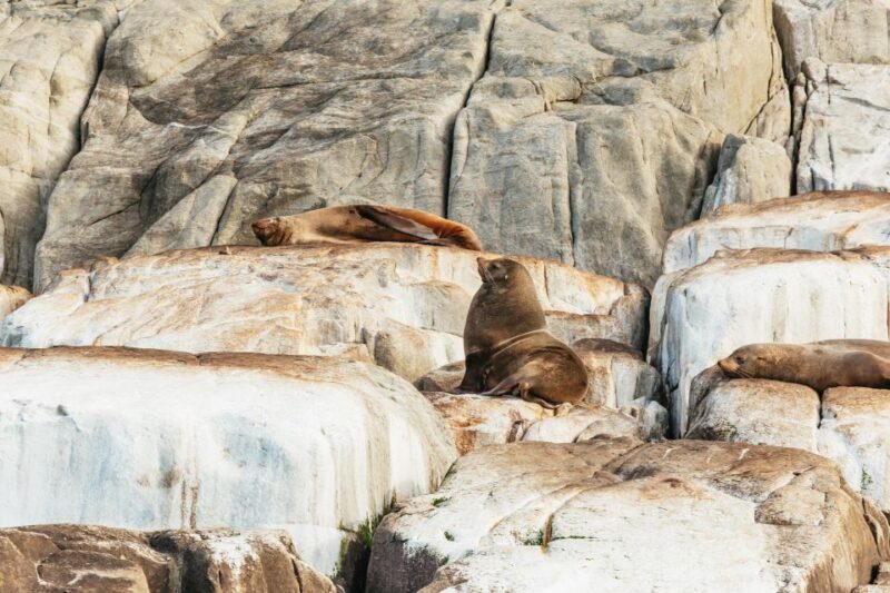 From Port Arthur: Tasman Island Wilderness Cruise - FAQ