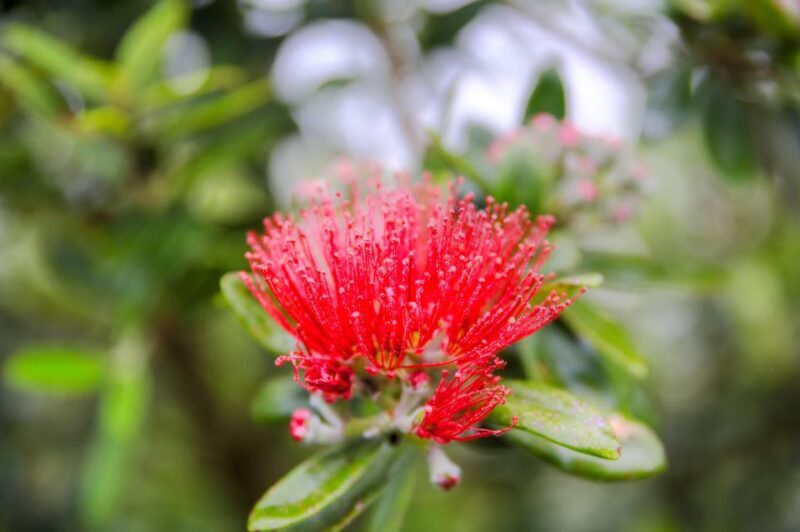 From Port Chalmers: Small Group Castle, Coast & City Tour - A Detailed Look at the Experience