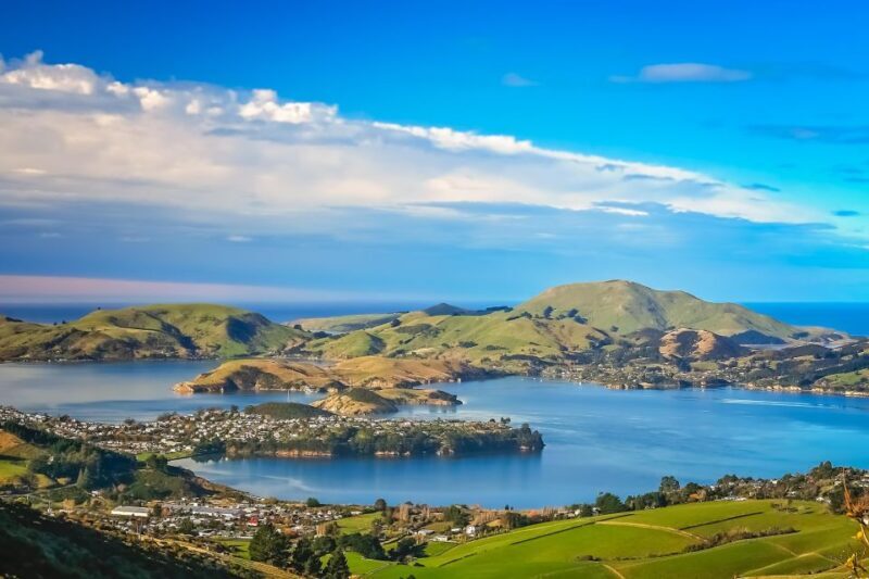From Port Chalmers: Small Group Castle, Coast & City Tour - Otago Peninsula: Wildlife and Scenic Beauty
