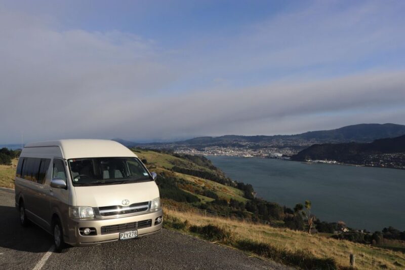 From Port Chalmers: Small Group Castle, Coast & City Tour - Who Will Love This Tour?